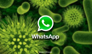 whatsapp-virus-300x178 whatsapp-virus